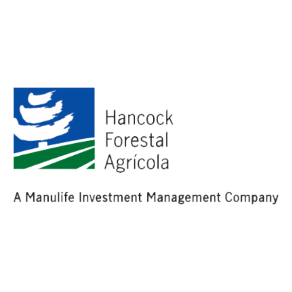 Hancock - Industria Forestal